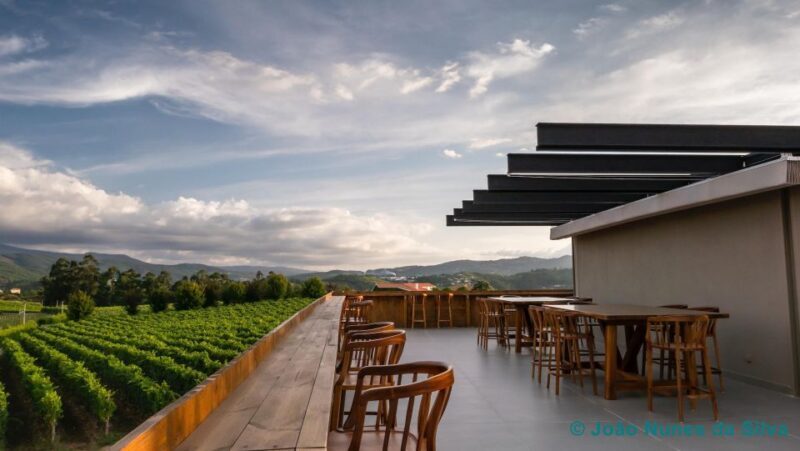 A trip through the Vinhos Verdes of the Basto Region - Exploring the Vinhos Verdes of the Basto Region