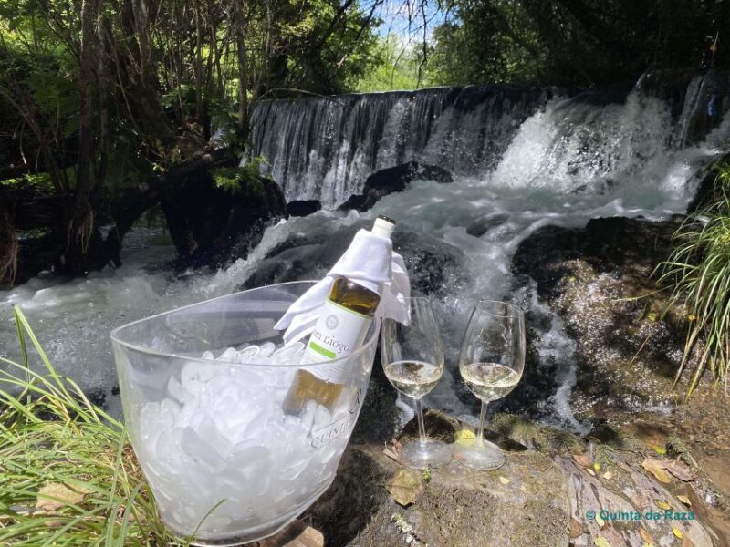 A trip through the Vinhos Verdes of the Basto Region - Pricing and Value