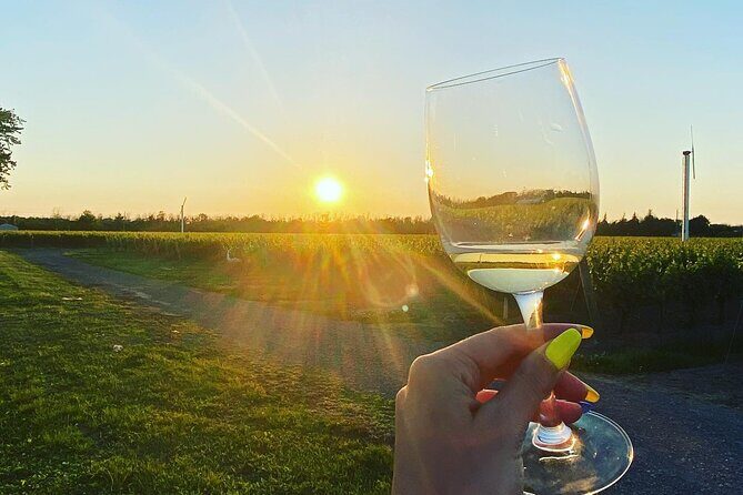 A Twilight Wine Adventure with 3-Course Dinner - Final Verdict