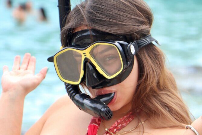 A unique experience on the Best Beaches and Coves of Mallorca - The Value of the Tour