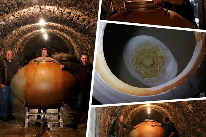 A unique sensory experience in the vineyards - The Value Proposition