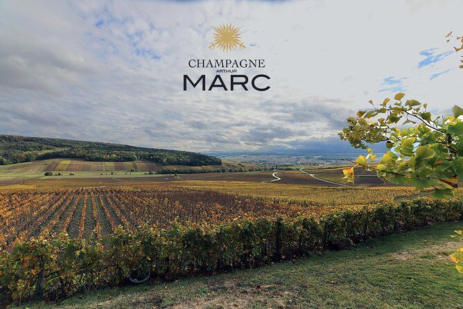 A unique sensory experience in the vineyards - Who Would Love This Tour?