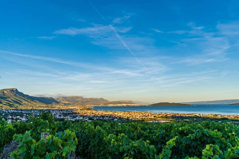 A Vineyard Feast: A Group Dinner and Wine Tasting - The Value of the Experience