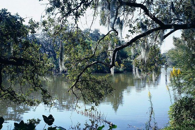 A Walk in the Park: City Park New Orleans Audio Tour - A Detailed Look at the City Park Audio Tour Experience
