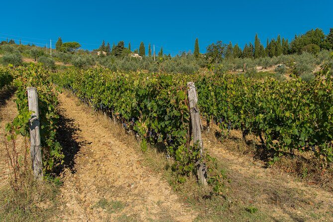 A Wine bliss in Montalcino, Montepulciano, Val d'Orcia - An In-Depth Look at the Itinerary