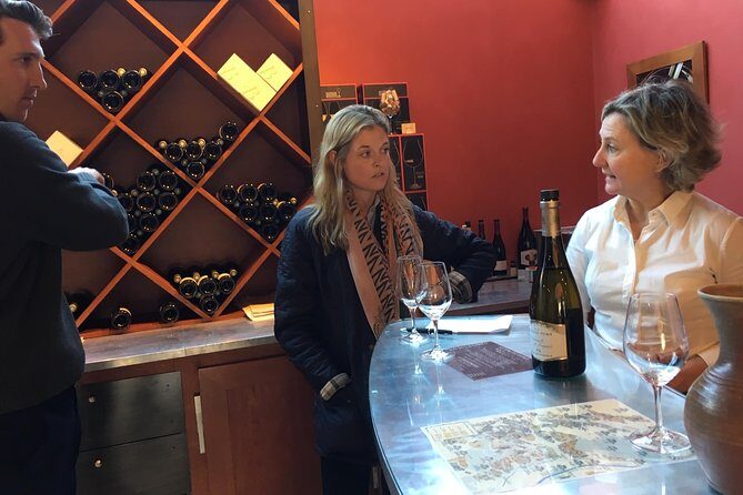 A Winey Day Out: Sauvignon Blanc Wine Tour of Sancerre and Pouilly-Fumé - Authentic Insights from Reviewers