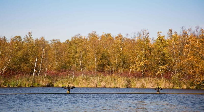 Aalsmeer: Traditional Dutch Barge Lake Cruise - An In-Depth Look at the Dutch Barge Lake Cruise