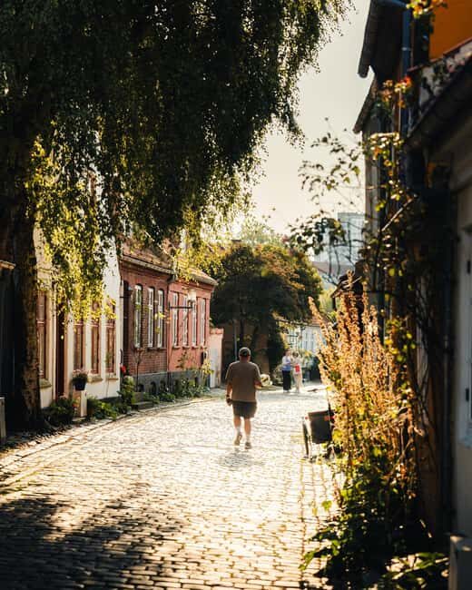 Aarhus City Highlights Private Tour - Who Will Love This Tour?