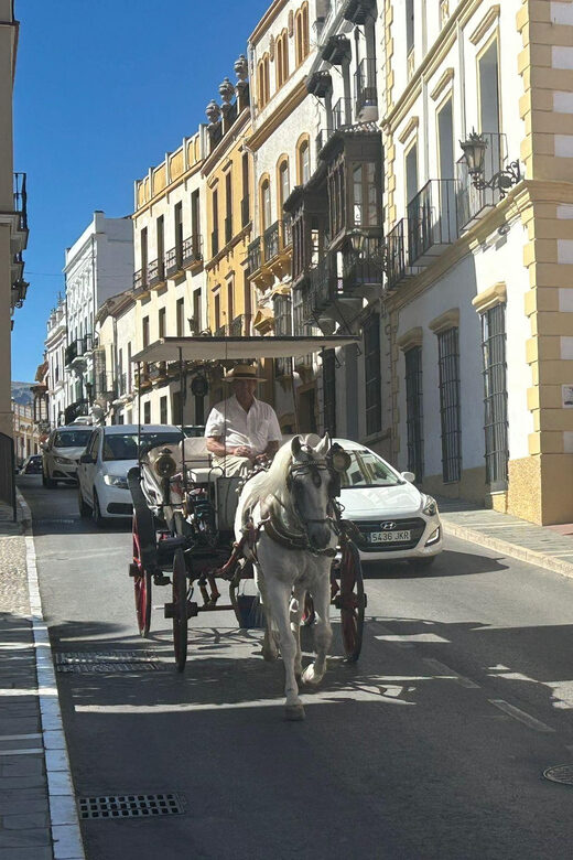 ab Marbella: Private VIP-Tour Ronda incl. Transfer + Tapas - Key Points