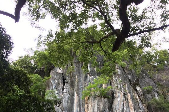 Abandoned Valley - Dark Cave exit, E Cave, Golden Cave- 2D1N - Trekking Through the Forest and Mountainous Terrain