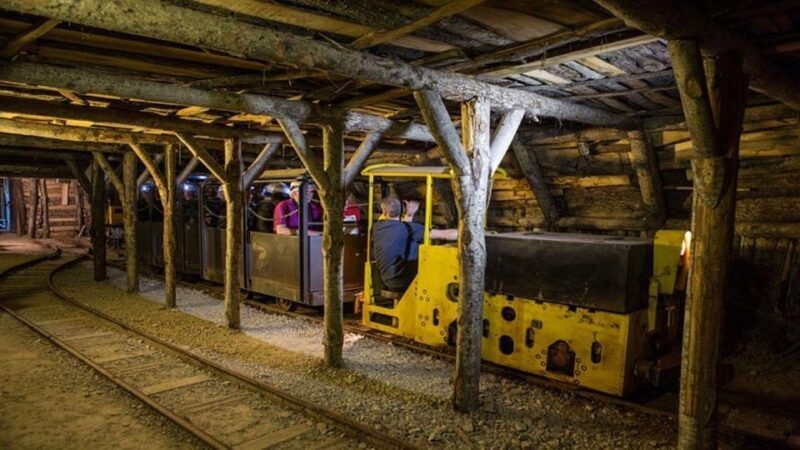 Abbadia San Salvatore Mining Museum Park: Admission and guided tour - Who Should Consider This Tour?