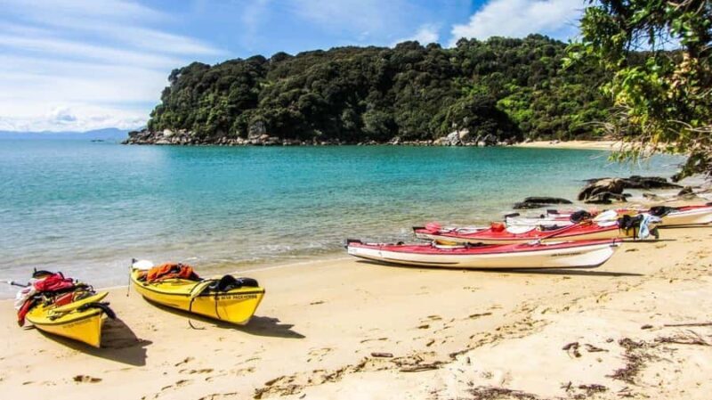 Abel Tasman Kayaks: 3 Day Kayak and Walk North - What’s Included and What to Expect
