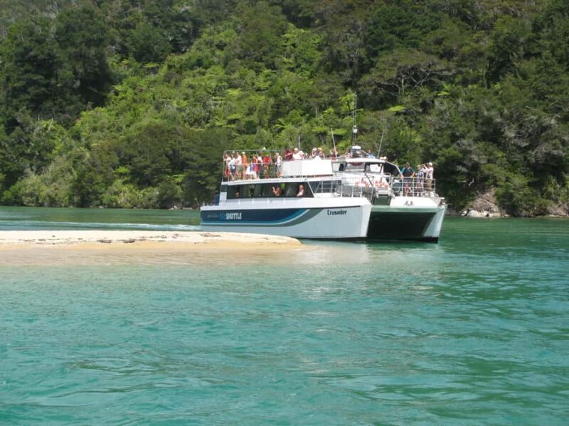 Abel Tasman National Full Park Scenic Cruise - Wildlife Sightings and Natural Features