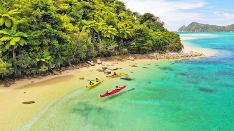 Abel Tasman National Park: Cruise, Kayak, & Hike Tour - Key Points