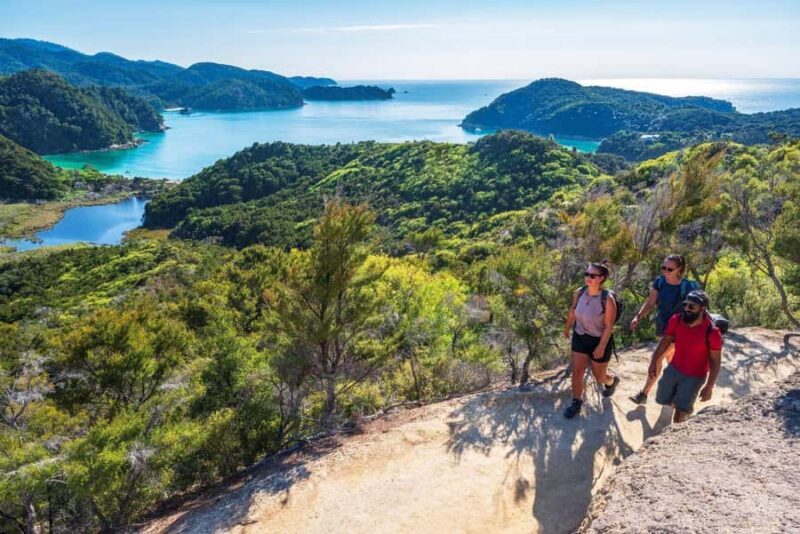Abel Tasman National Park: Cruise, Kayak, & Hike Tour - Final Thoughts: Is This Tour for You?