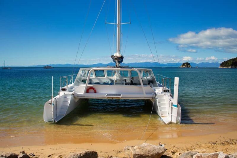 Abel Tasman National Park: Sailing and Self-Guided Walk - Authentic Experience and Guest Feedback