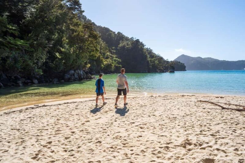 Abel Tasman National Park: Waka & Walk Tour - Practical Details and Value