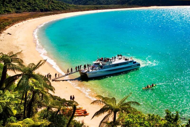 Abel Tasman: Sea Shuttle Cruise and Walking Tour Combo - What Travelers Experience During the Day