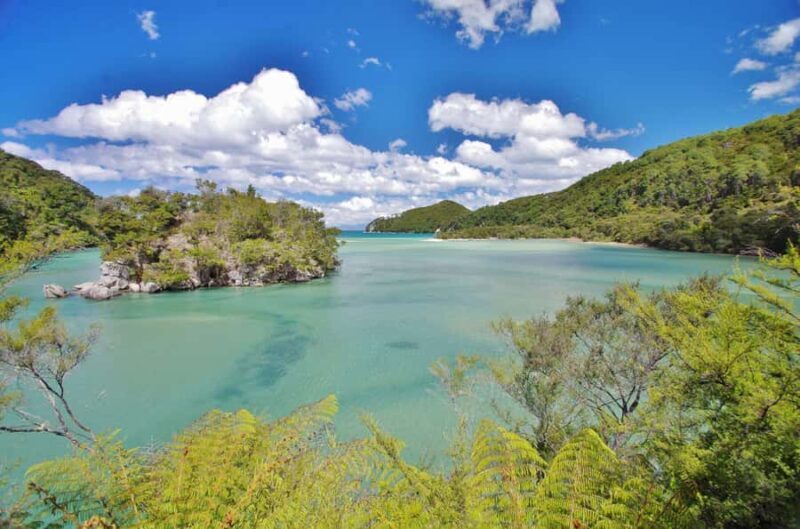 Abel Tasman: Sea Shuttle Cruise and Walking Tour Combo - Authentic Encounters and Hidden Gems