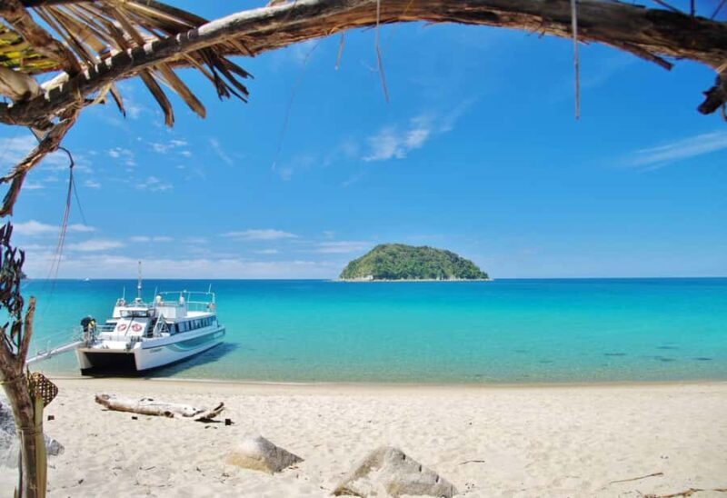 Abel Tasman: Sea Shuttle Cruise and Walking Tour Combo - Practical Considerations