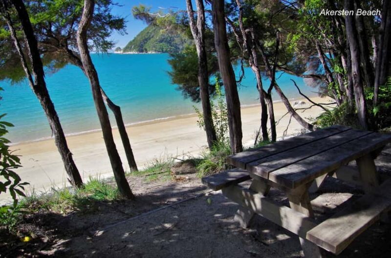 Abel Tasman: Sea Shuttle Cruise and Walking Tour Combo - Authenticity and Value