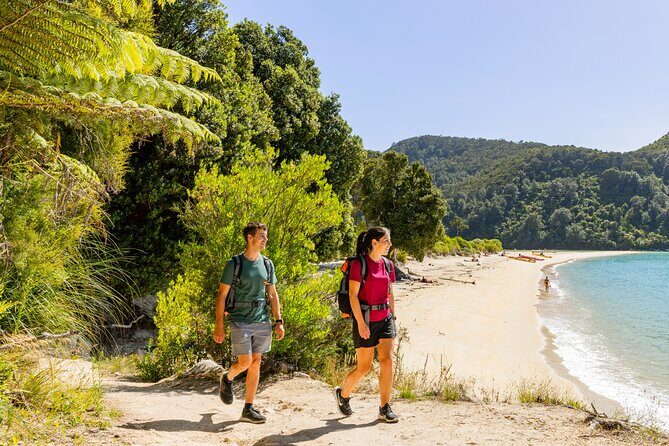 Abel Tasman Vista Cruise - Transportation, Pricing, and Practicalities