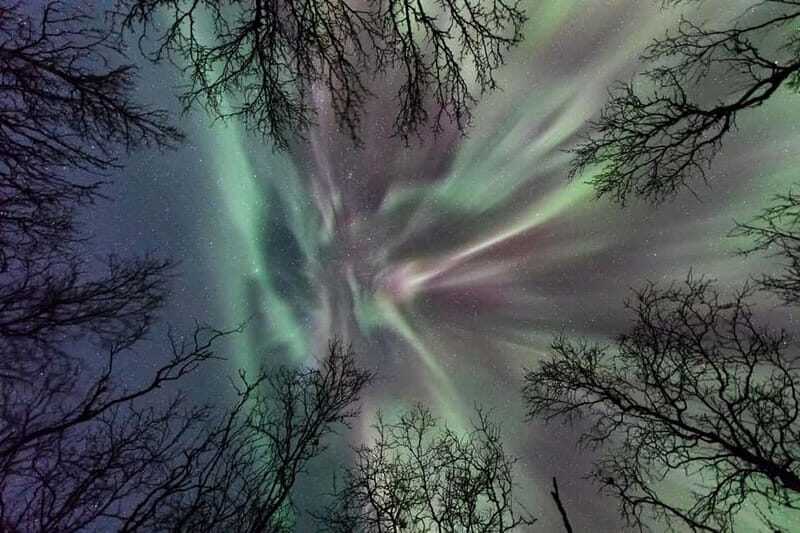 Abisko: Guided Autumn Aurora Chase with Hotel Transfers - Key Points