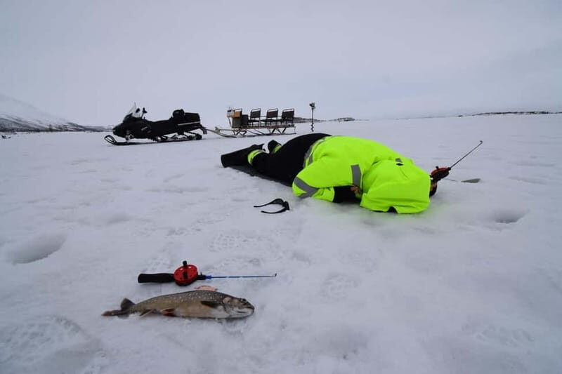 Abisko: Ice Fishing Experience - What to Expect During the Tour