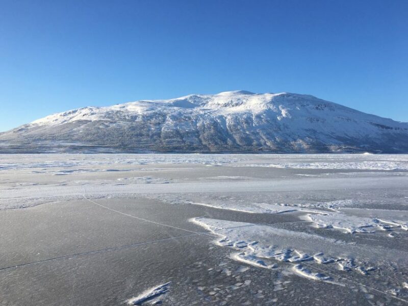 Abisko: Lake Torneträsk Arctic Ice Fishing Trip - The Real Value of This Tour