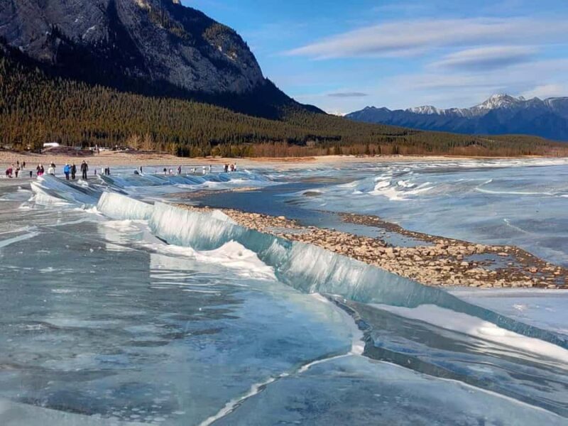 Abraham IceBubble, Peyto, Bow Lake with Snowshoeing& Icewalk - Authentic Experiences and Review Highlights