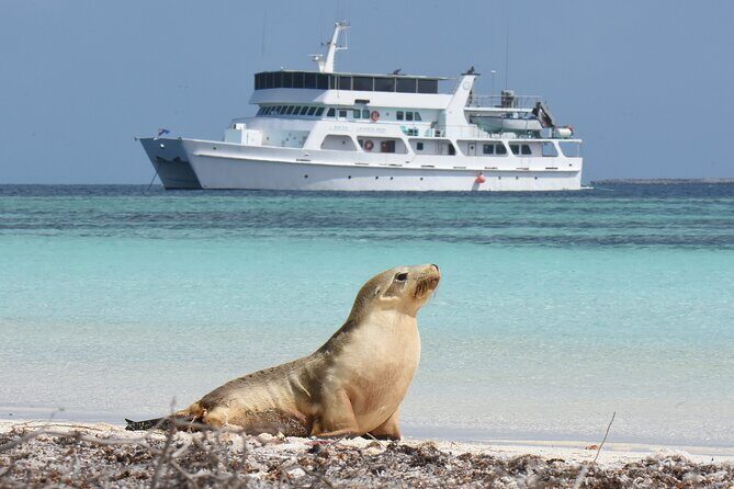 Abrolhos Islands 5 Day Cruise - FAQs