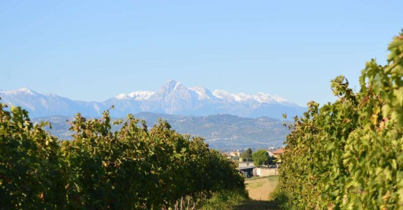Abruzzo: Historic Cellar Wine Tour and Tasting - Key Points: