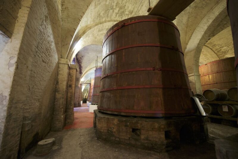 Abruzzo: Historic Cellar Wine Tour and Tasting - Who Will Love This Tour?