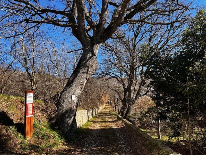 Abruzzo: Incredible e-bike adventures admiring the 4 medieval towers - Key Points