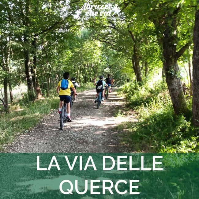 Abruzzo L'Aquila: e-bike tour in the shade of centuries-old oak trees - Key Points