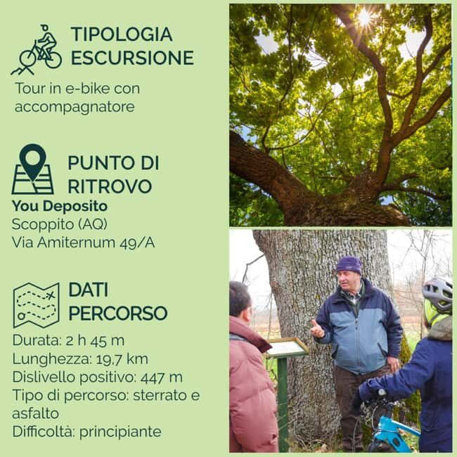 Abruzzo L'Aquila: e-bike tour in the shade of centuries-old oak trees - Authentic Local Experience and Value