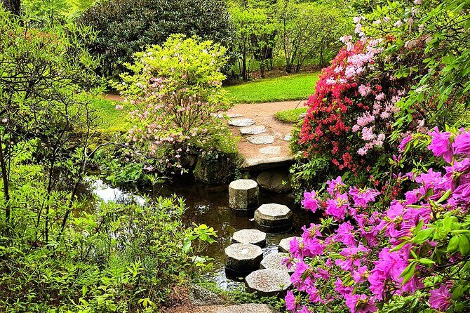 Acadia National Park Bass Harbor Lighthouse Private Driving Tour - What to Expect from the Tour