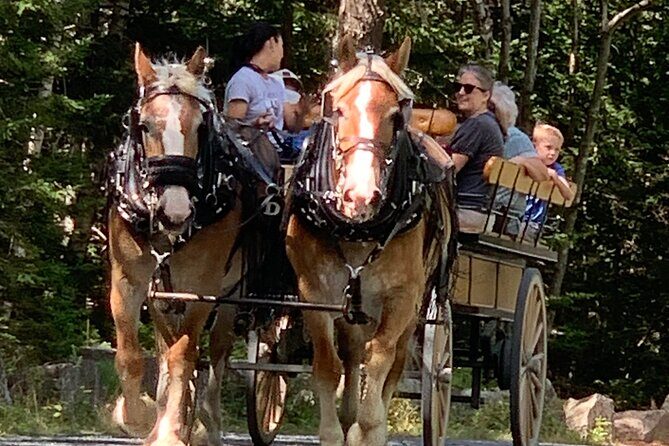 Acadia National Park Premium Specialized E-Bike Rental - The Sum Up: Is It Worth It?
