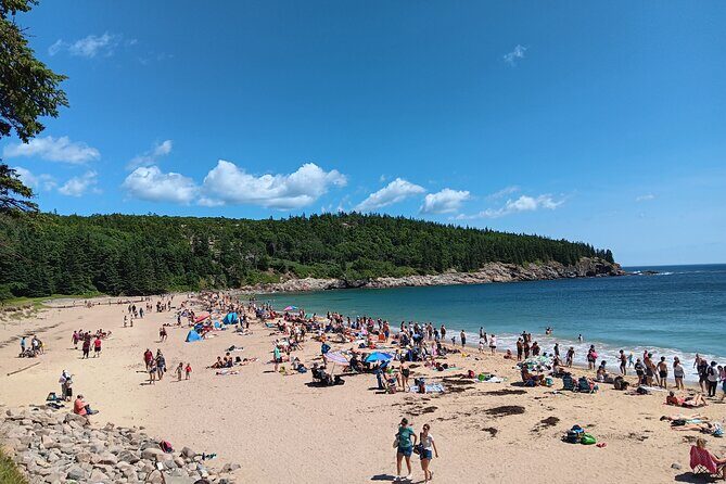 Acadia Woody's Utmost Coast 3 Hour Driving Tour - Introducing the Acadia Woody’s Utmost Coast 3-Hour Driving Tour