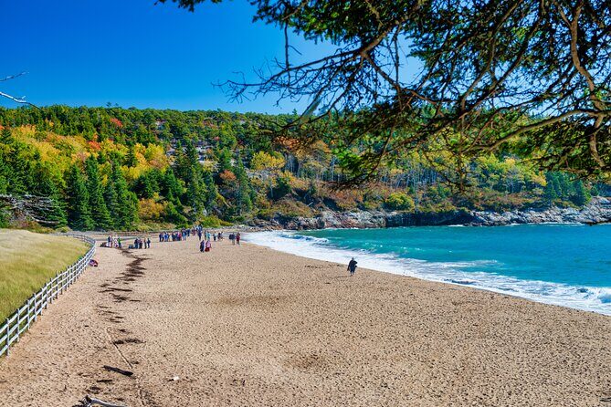 Acadia's Ocean Path Self-Guided Walking Audio Tour - Key Points