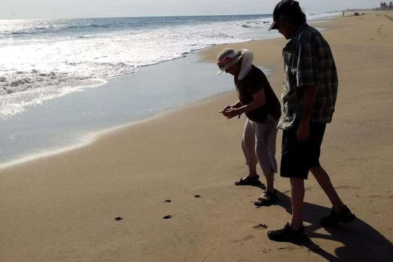 -Acapulco: 6hr City Tour & Turtle Release & High Diver Show - Who Should Consider This Tour?