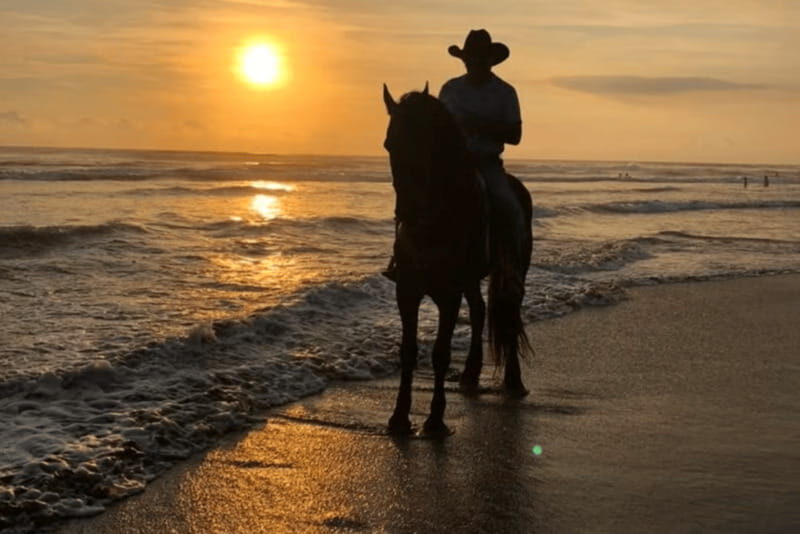 Acapulco: Bonfil Beach Horseback Riding Experience - The Value and Pricing