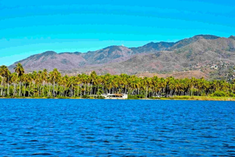 Acapulco: Coyuca Lagoon Tour - A Close-up of the Coyuca Lagoon Tour Experience