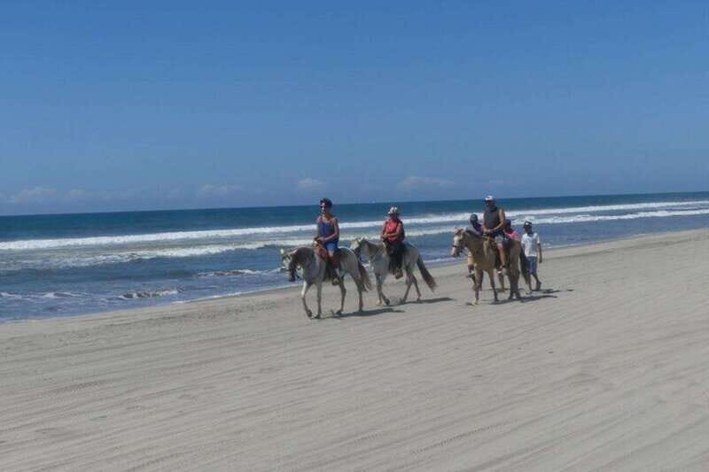 -Acapulco: Horseback Ride Exp. Crocodile Farm, and City Tour - Key Points