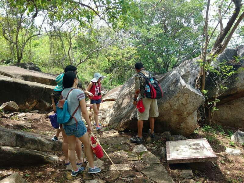 -Acapulco: Palma Sola Petroglyphs Experience Market + Lunch - Who Will Love This Tour?