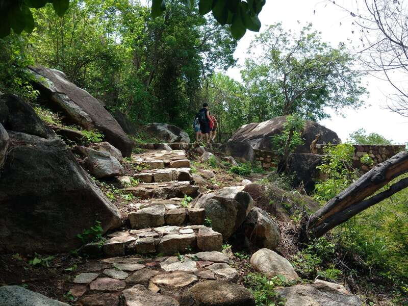 -Acapulco: Palma Sola Petroglyphs Experience Market + Lunch - The Sum Up