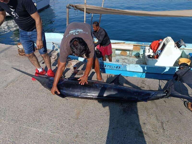 Acapulco: Private Fishing Experience - An In-Depth Look at the Acapulco Private Fishing Experience