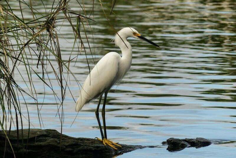 -Acapulco:3 Palos Lagoon Boat Ride& Crocodile Farm Exprience - Key Points