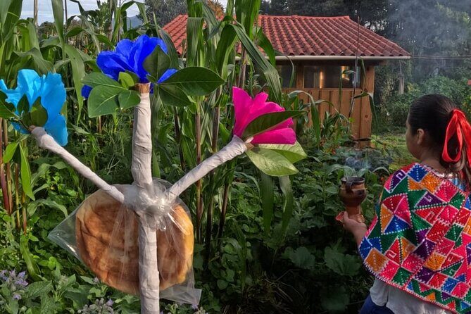 Acaxochitlán Local Community and Traditions Tour from Mexico - FAQ