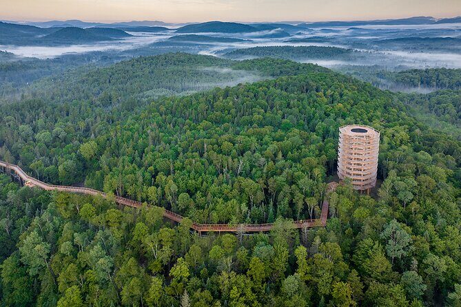 Access to Mont-Tremblant Treetop Observatory and Walk - An In-Depth Look at the Experience